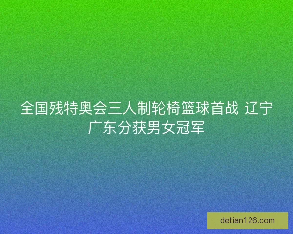 全国残特奥会三人制轮椅篮球首战 辽宁广东分获男女冠军
